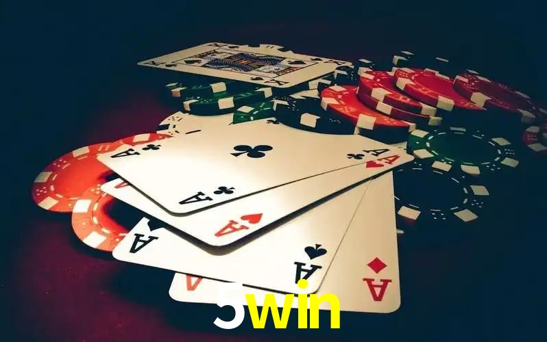 5win visual 2